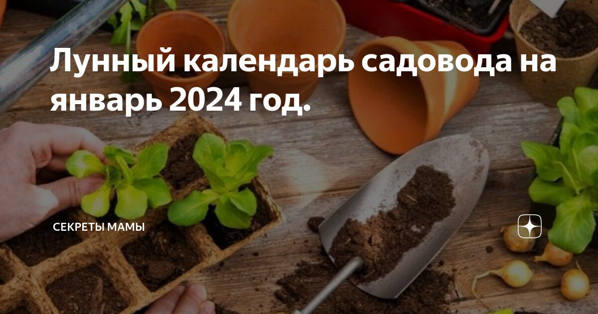 Лунный календарь 2024 садовода и огородника