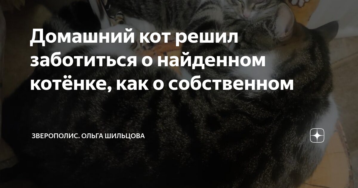 Так и запишем. Понятно записывай. Ну понятно мем. Понятно записывай. Мемы понятно.