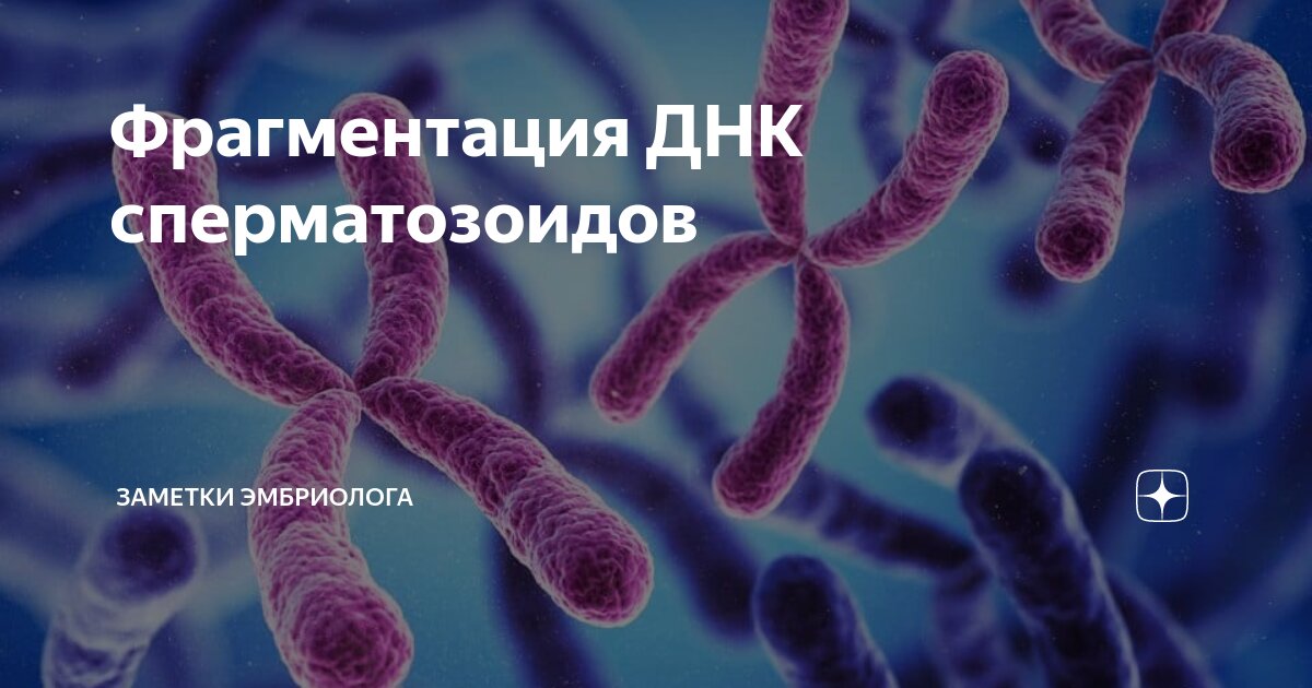 Фрагментация ДНК сперматозоидов, анализ - Геном в Ростове-на-Дону