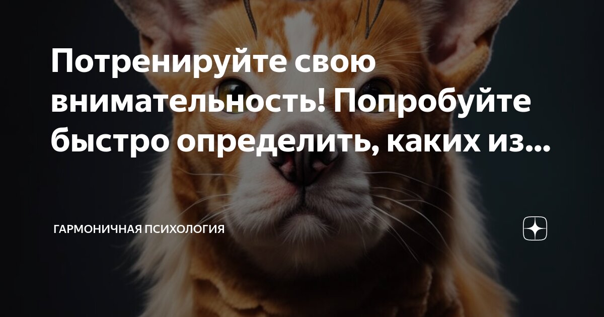 Потренировать