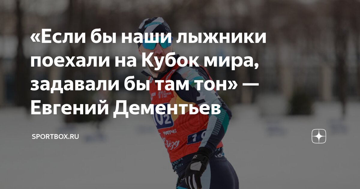 Спортбокс лыжи