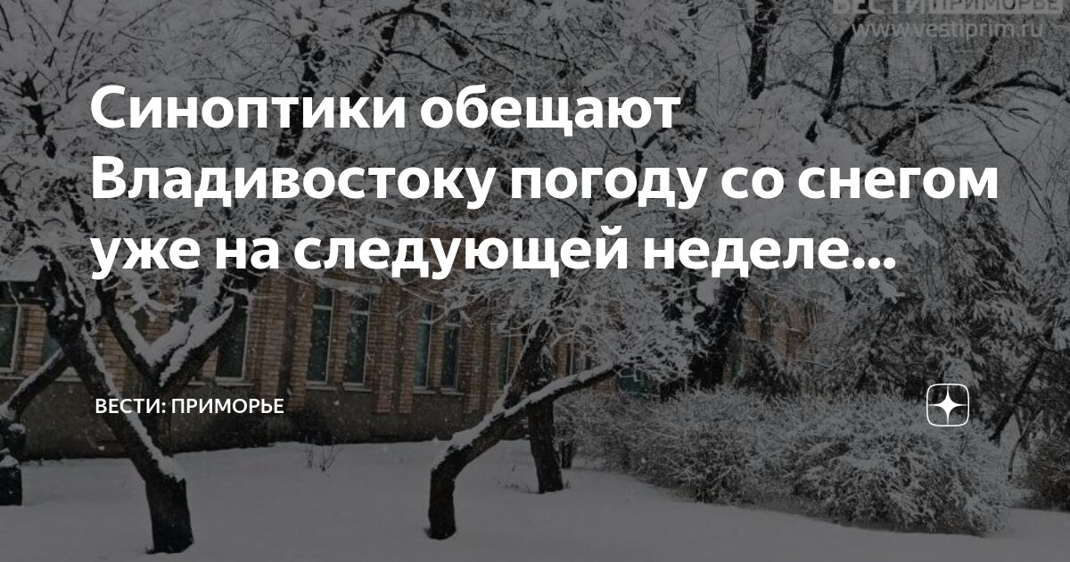 Погода на декабрь владивосток