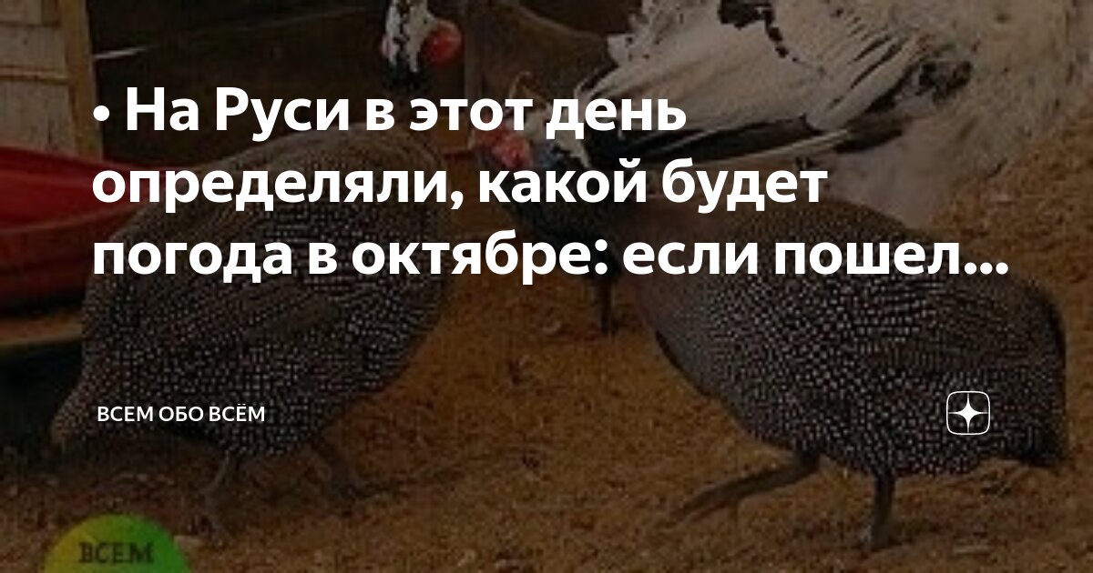 Октябрьское воронежская область поворинский район. Осень октябрь природа. Пгт октябрьское красногвардейский район. Погода село октябрь. Осень удмуртия деревня.