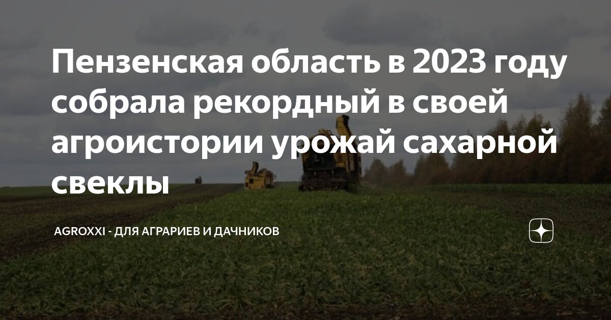 Сахарная свекла 2023