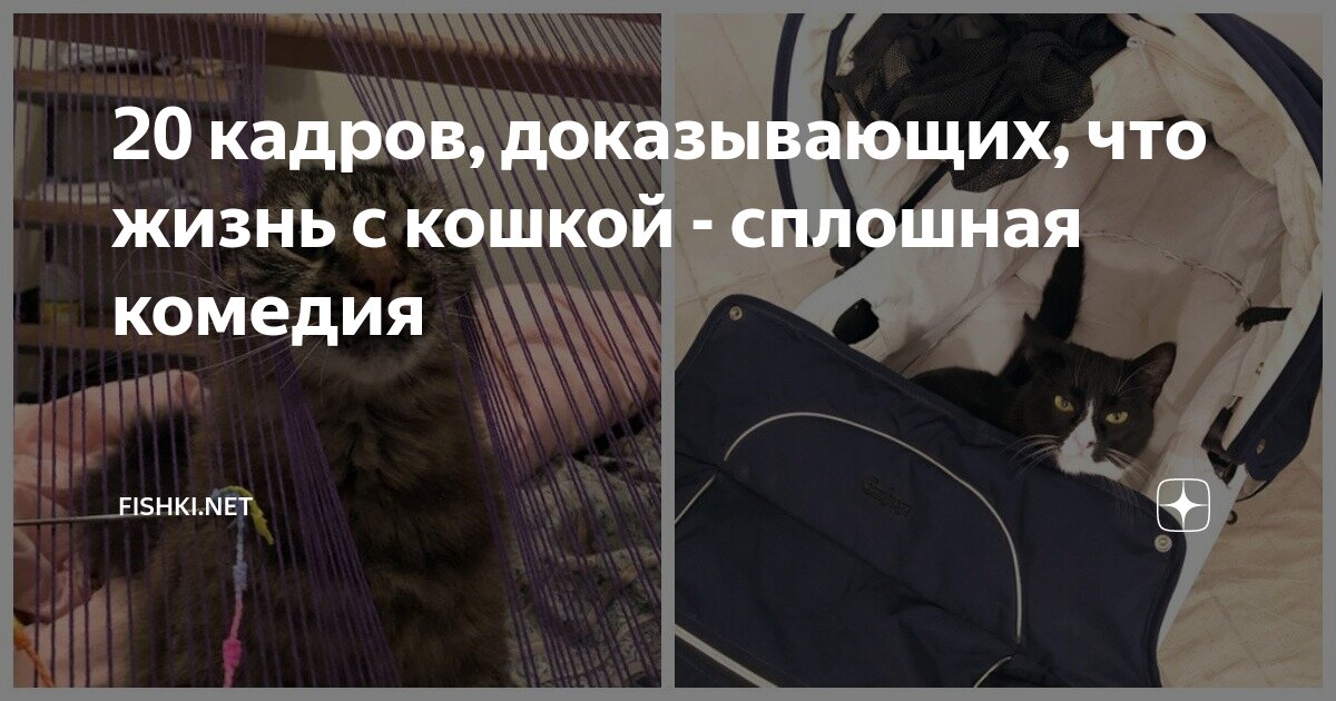 Если стороны 2 углов соответственно то такие углы равны. Дано о середина ав о середина dc. Слайд с треугольником. Катет лежащий против 30 градусов равен половине гипотенузы теорема. Доказать 20.