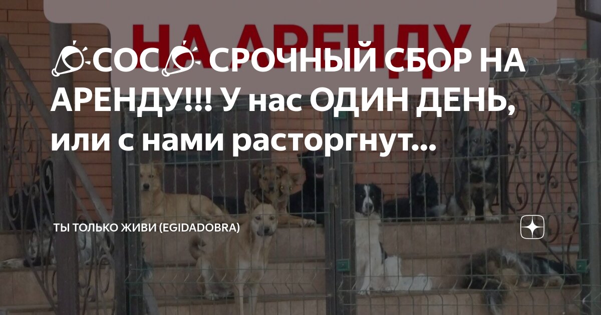 Благодаря доброте. Отзывчивое сердце. Доброта и милосердие. Добрые дела. Добрые поступки.