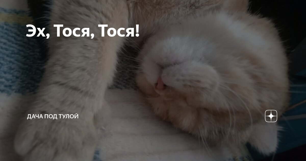 Гармонист в деревне. Белый белый день. Гармошка в деревне. Дядя митя день взятия бастилии. Музыкальный фольклор.