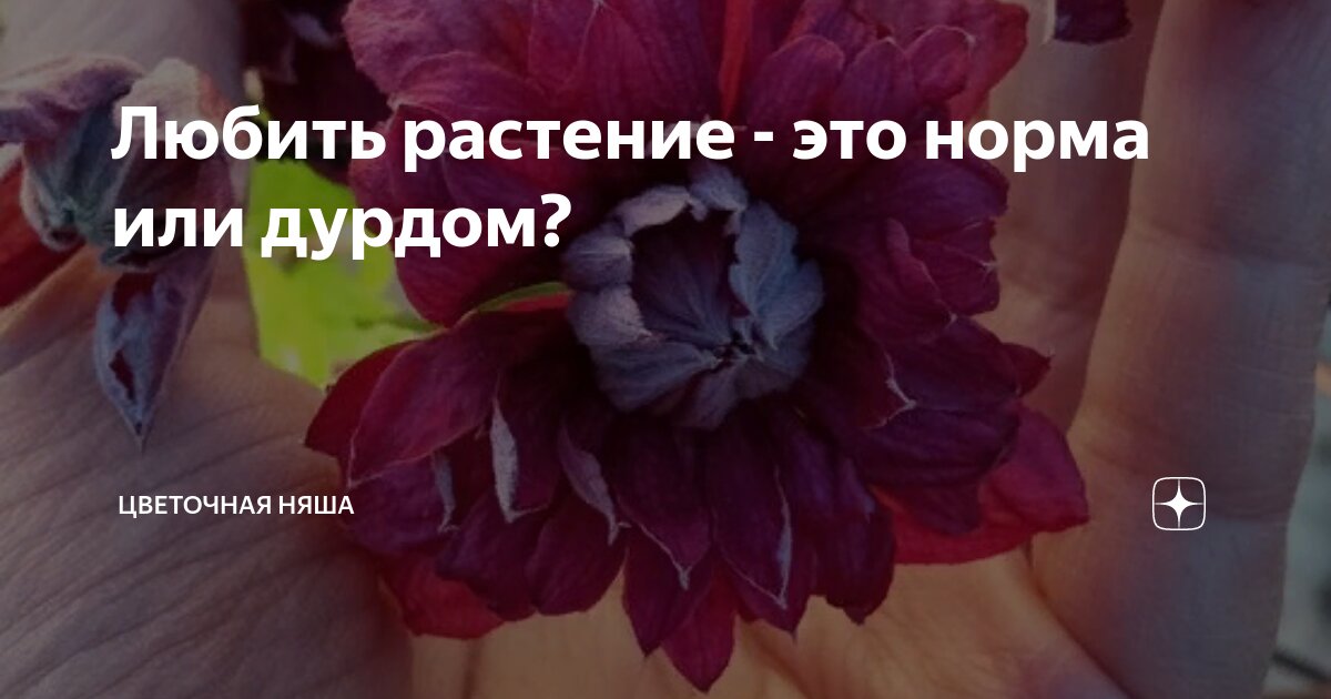 Обычные мемы. Ну нормально же общались. Спасибо нормальные картинки. Нормально любимый. Пирожки про холод.