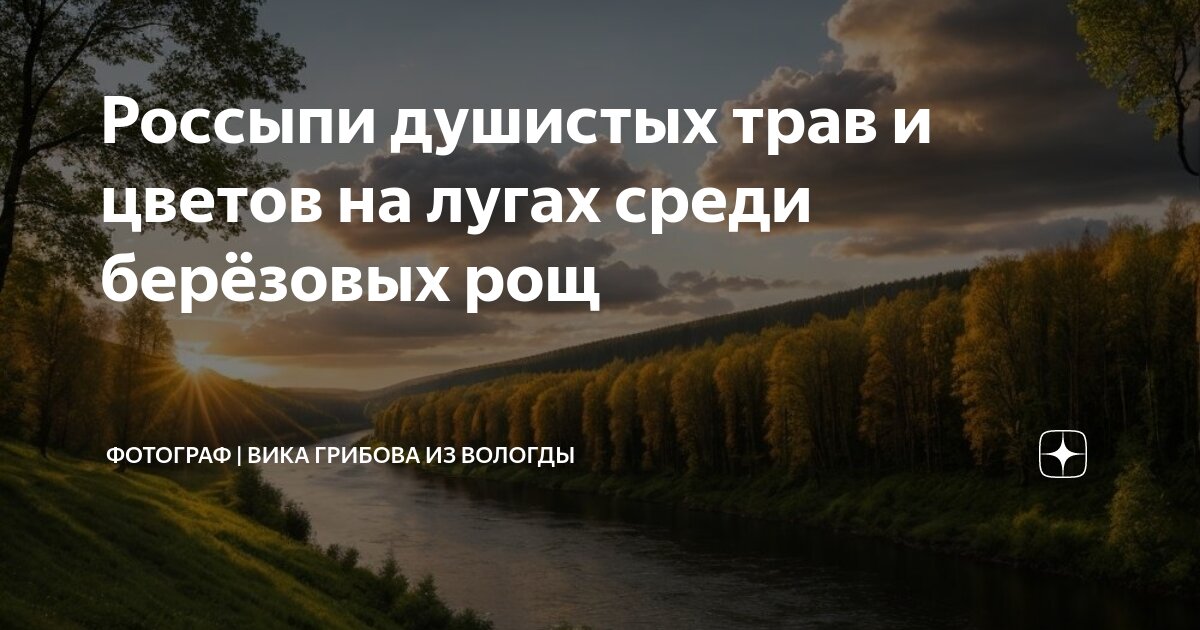 Березовая роща бойрок кыргызстан. Роща томск михайловская томск. Винновская роща в ульяновске природа. Город ульяновск винновская роща лысая гора. Ст роща.
