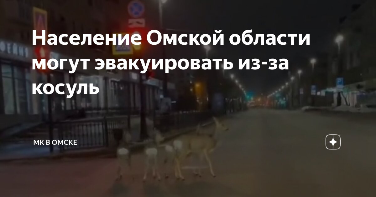 Омское население