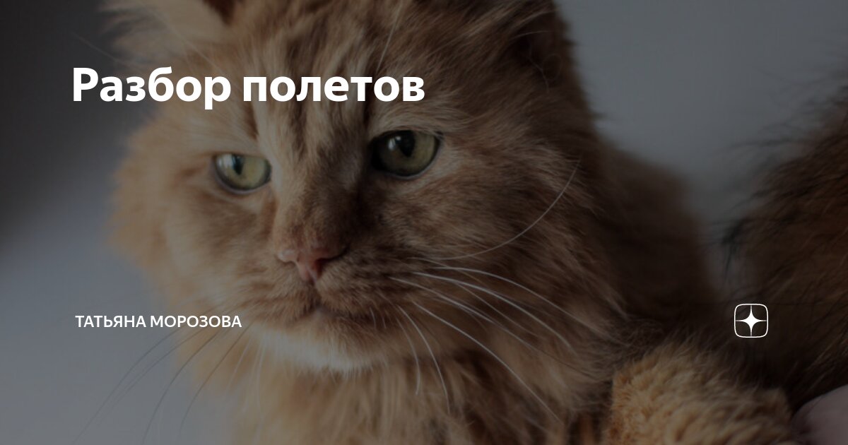 Лететь разбор. Лететь разбор