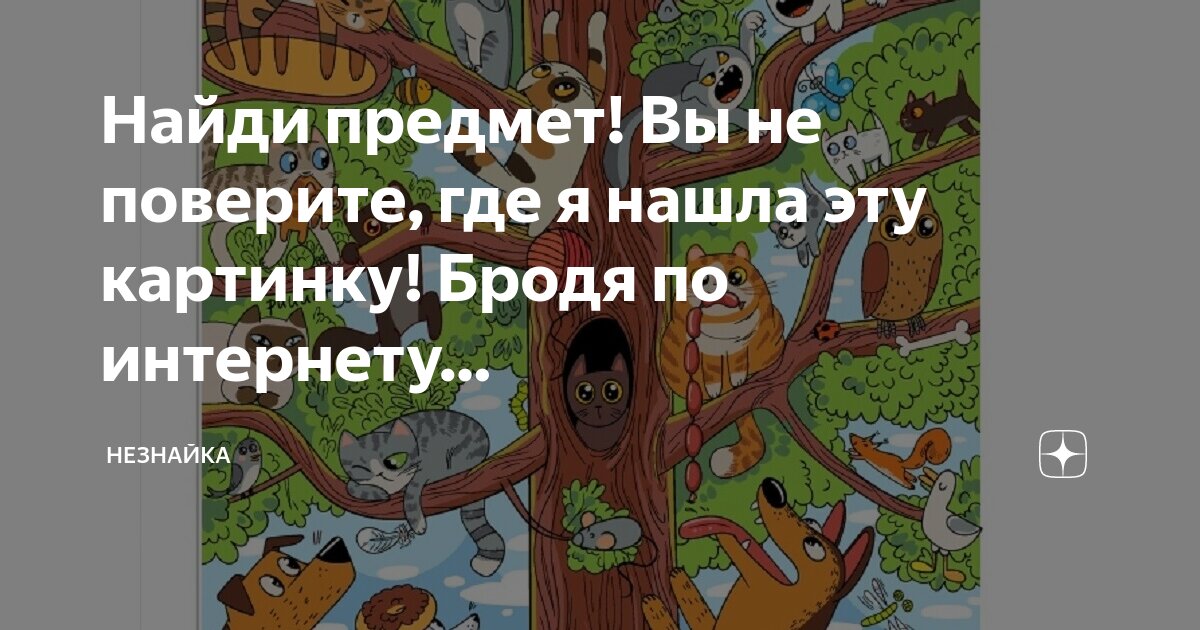 Предмет изображения на дне