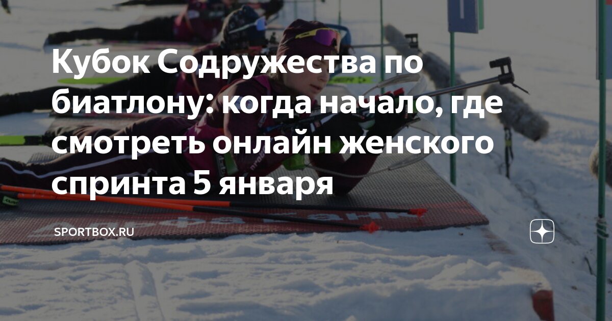 Спортбокс биатлон