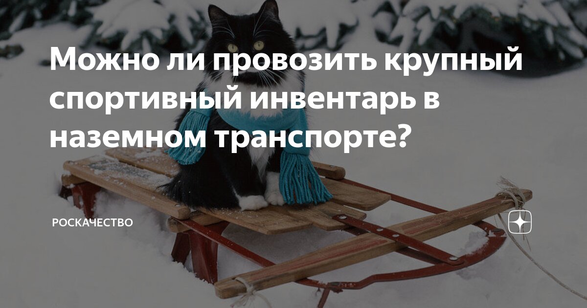 Провоз спортивного инвентаря