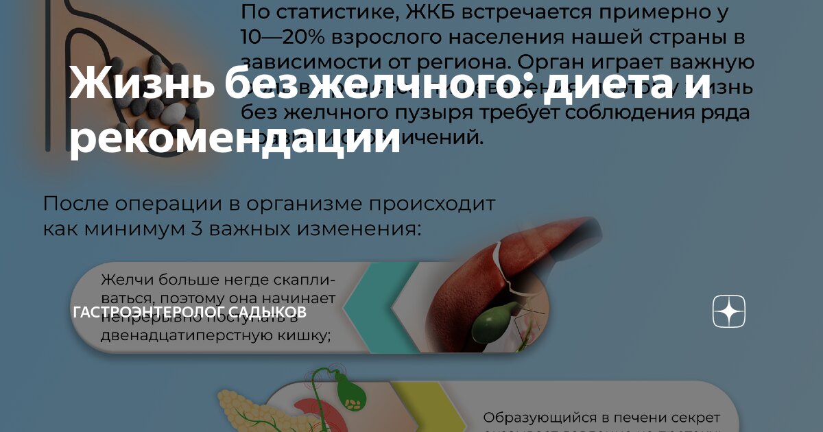 Жизнь без желчного: диета и рекомендации | Гастроэнтеролог Садыков | Дзен