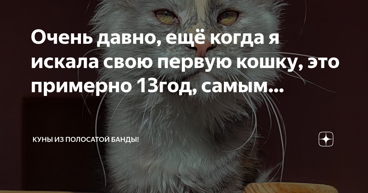 Что может быть очень давно. Что может быть очень давно