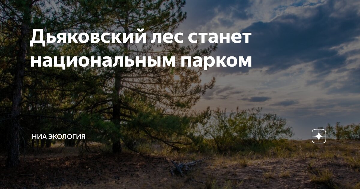 Особоохроняемые природные территории. Особо охраняемые территории. Охраняемые территории лкса. Карта заповедников россии атлас. Леса московской области карта.