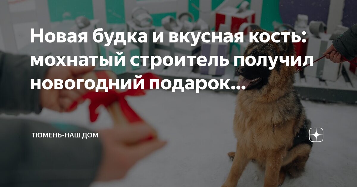 Костя кость найти Костя кость найти