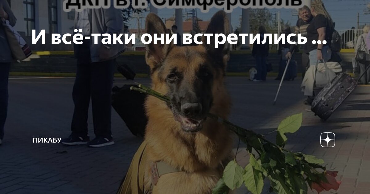 Таки тачибана и мицуха миямидзу скрины. Когда встретил друга из интернета. Мицуха миямидзу. Когда встретились с друзьями. С683ру.