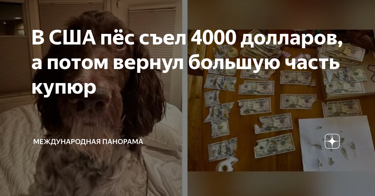 4000 долларов