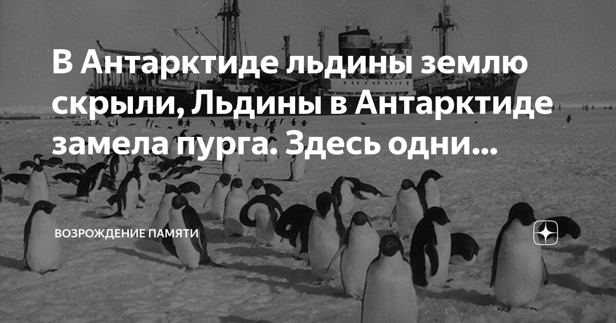 В антарктиде льдины землю скрыли слушать