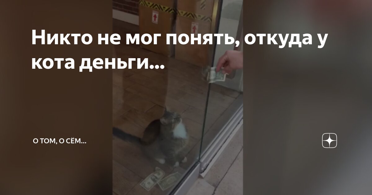 Увидели дверь