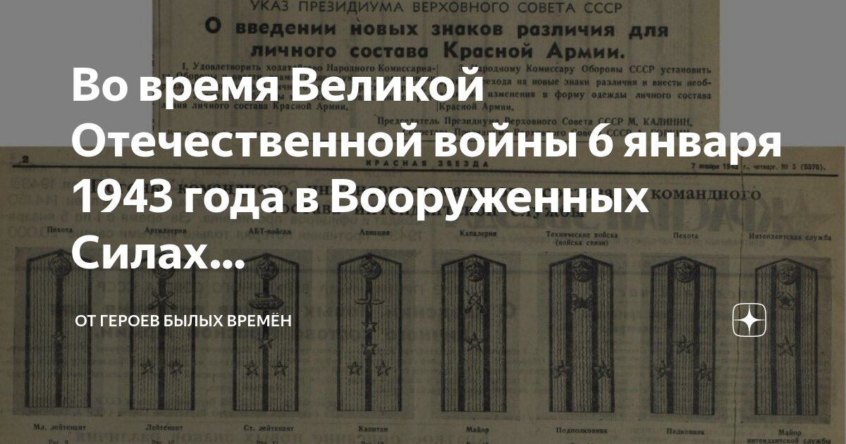 Сколько во время великой отечественной