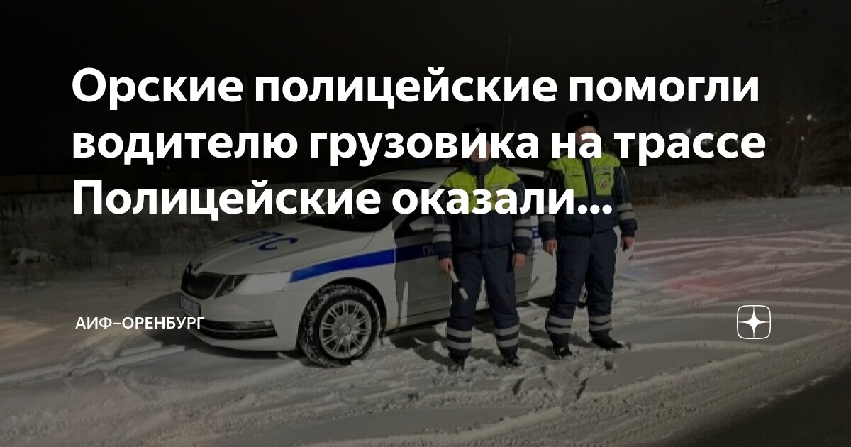 Полицейский водитель Полицейский водитель