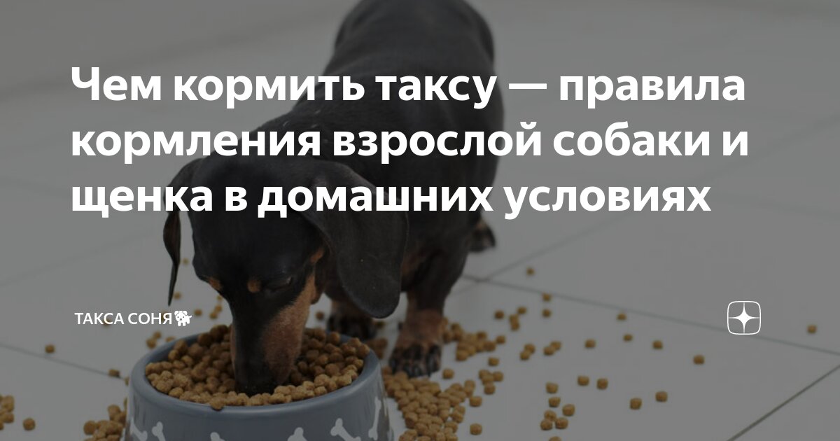 Нужно кормить людей