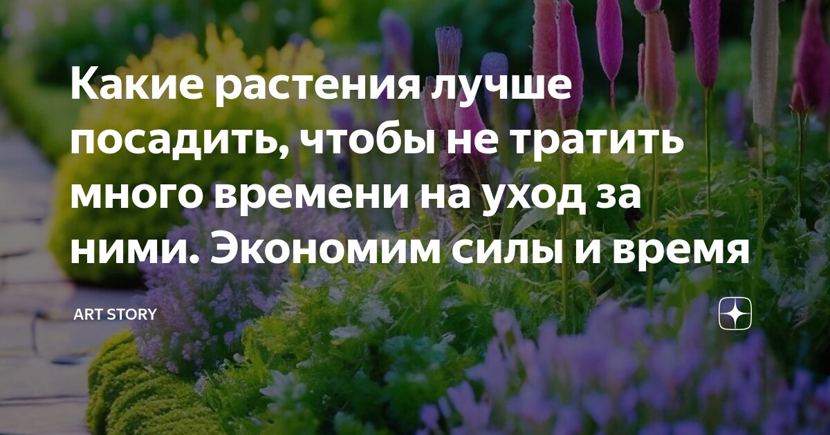 Какие растения хорошо