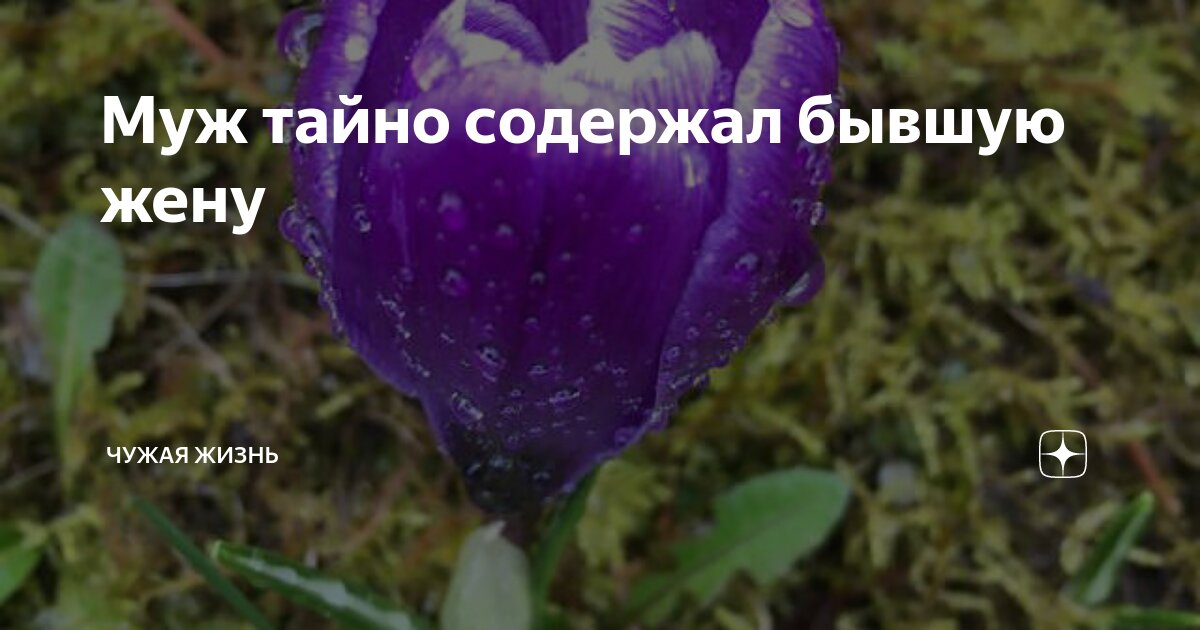 Муж тайно содержал бывшую жену | Чужая жизнь | Дзен