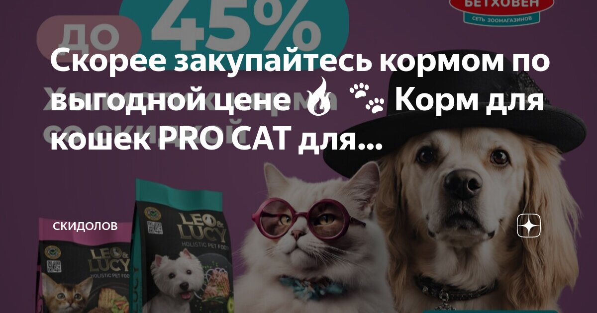 Чем отличается кошачий корм от собачьего. Чем отличается кошачий корм от собачьего