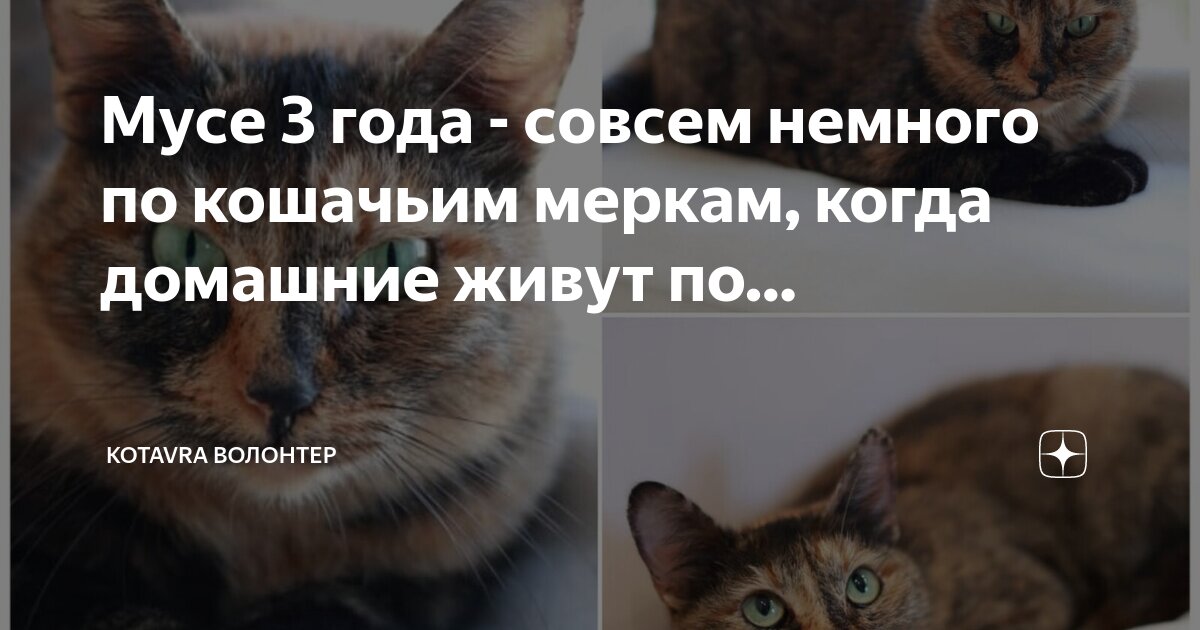 Совсем назад. Совсем назад