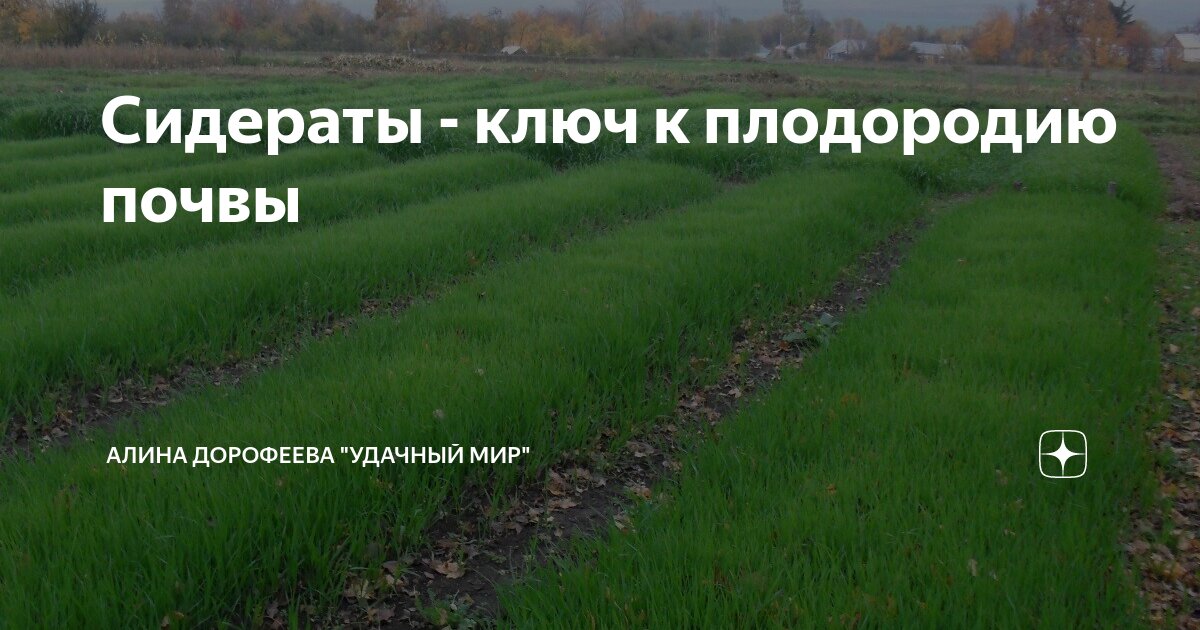 Мероприятия целью которых является повышение плодородия почвы