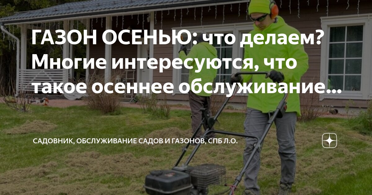 Газонокосильщик прикол. Газонокосилка stihl rm 2 r. На твоей стригут газон. На твоей стригут газон. Стрижка газона.