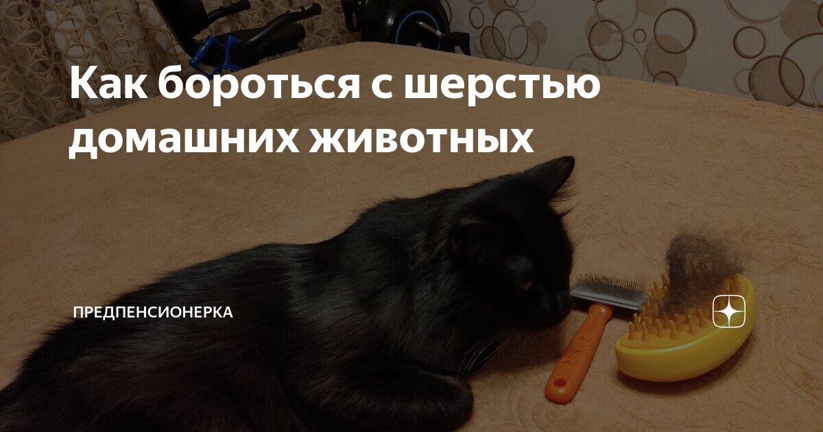 Правила поведения при нападении собаки. Защита от нападения собак. Как бороться с собаками. Как бороться с собаками. Самооборона от собак.