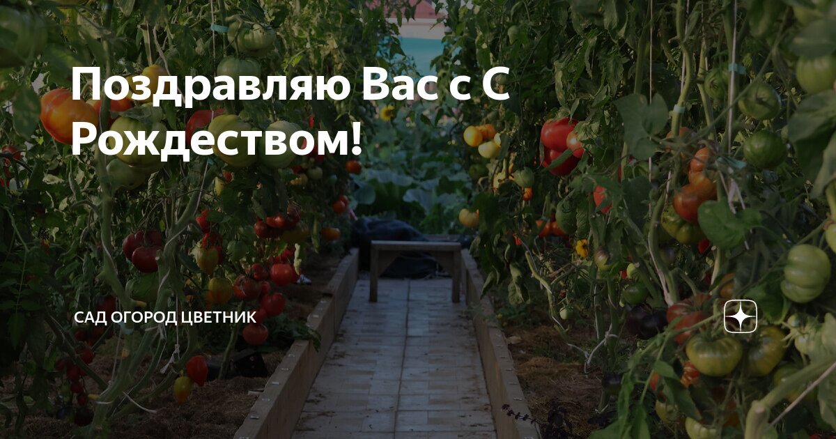 Сад счастья