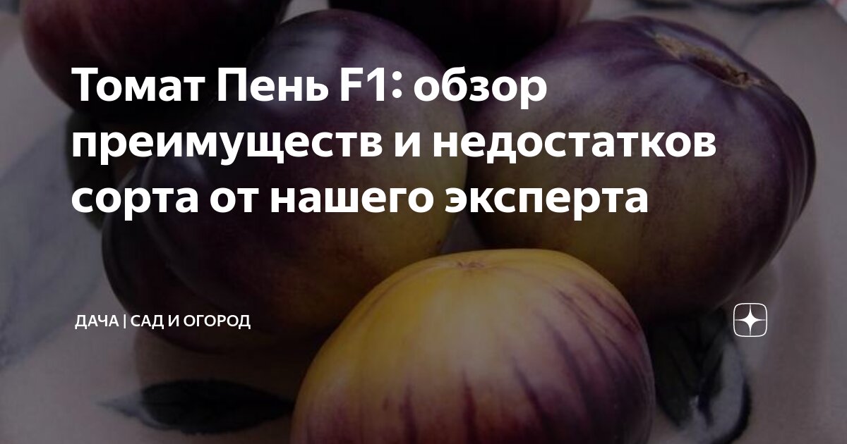 Правила посадки и ухода за растением