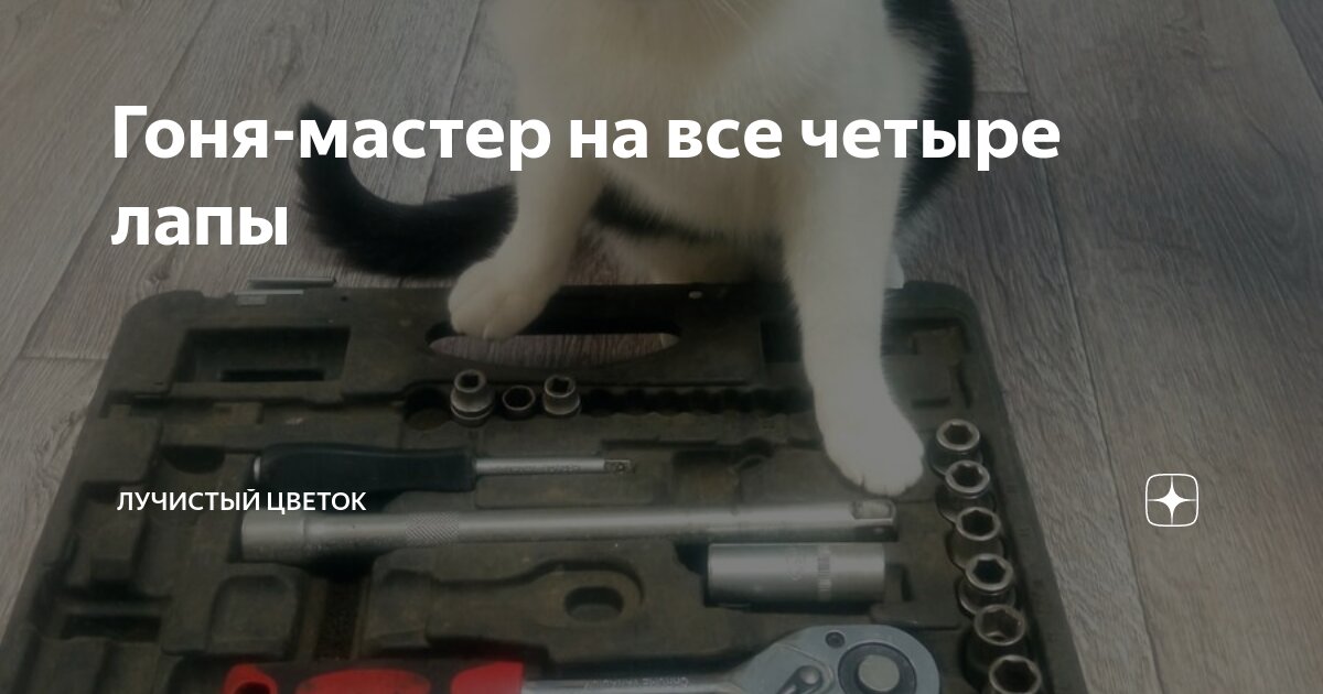 Цветок мони