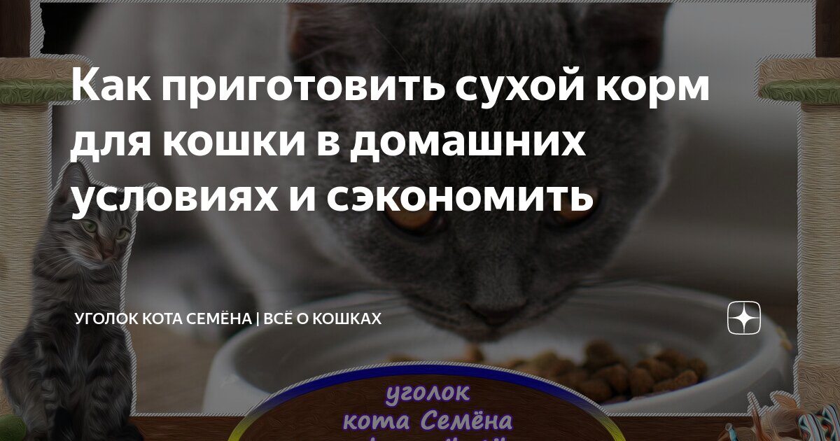 Простуда у кошек и котов: симптомы, лечение в домашних условиях