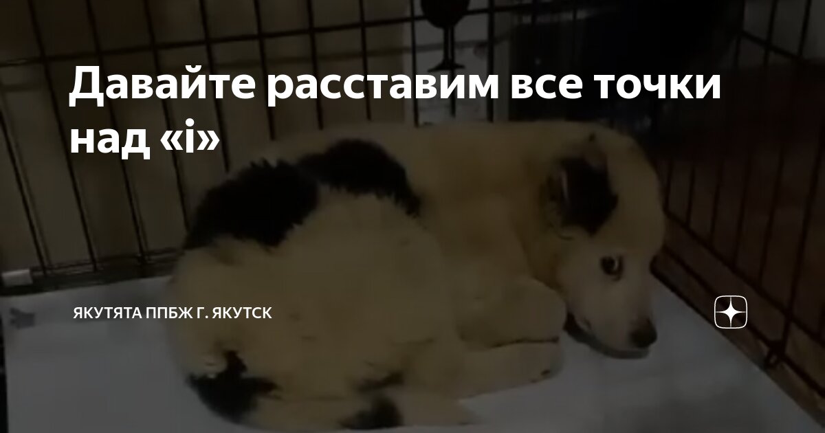 Давайте расставим все точки над «i» | Якутята ППБЖ г. Якутск | Дзен