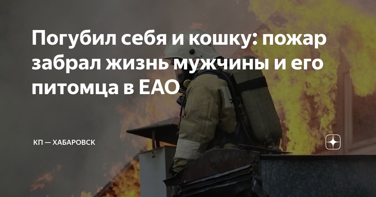 Стащит кошка разоряет