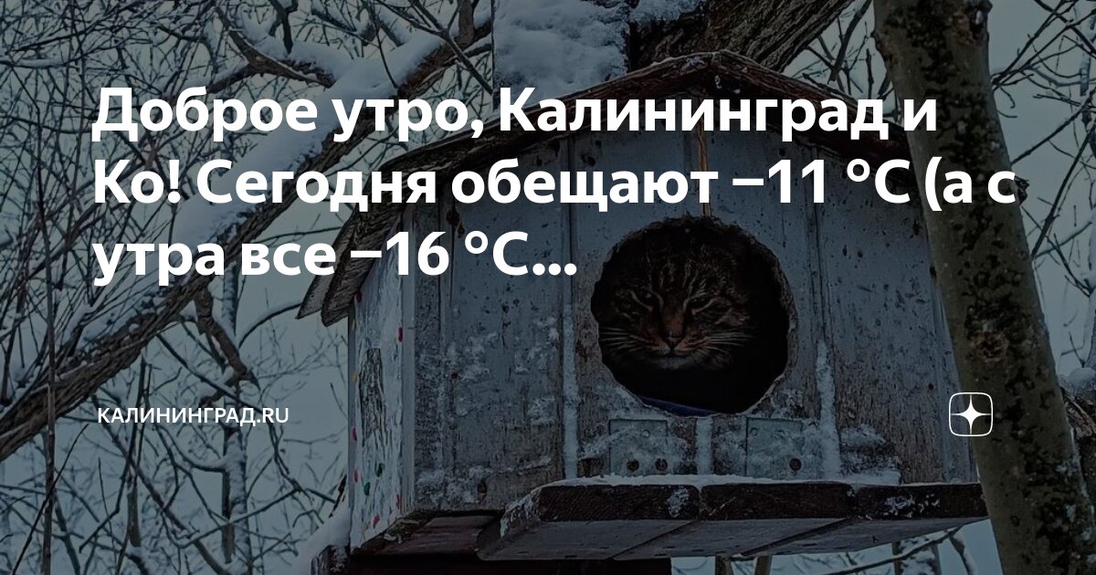 16 ноября доброе утро