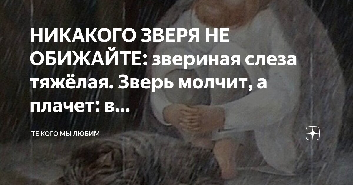 Слышны слова
