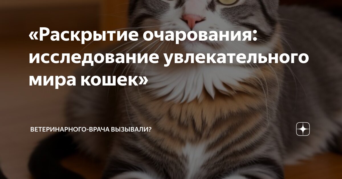 Кошки и их осведомленность о имени