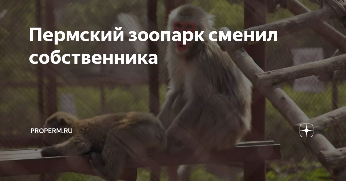 Отправить пермь. Газпром межрегионгаз пермь. Отправить пермь. Пятачок в колбасном цеху. Отправить пермь.