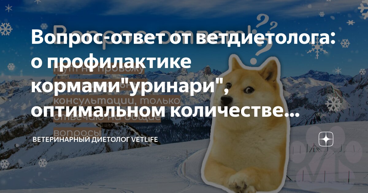 Вопрос-ответ от ветдиетолога: о профилактике кормами"уринари ...