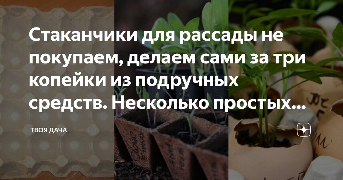 Сделал сам из подручных средств