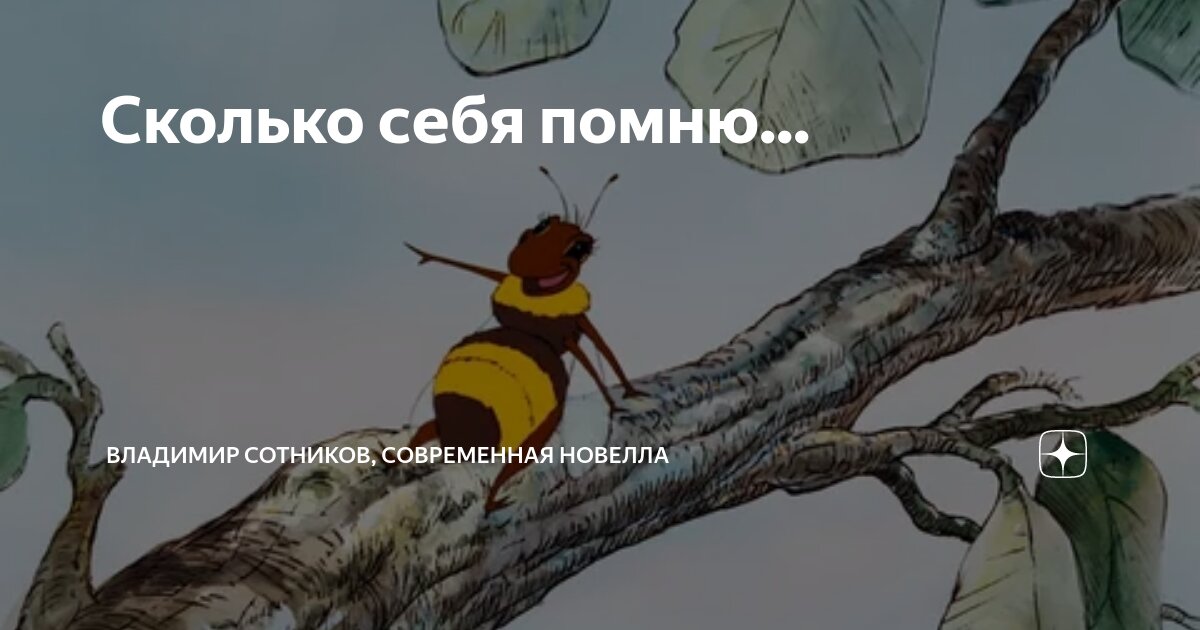 Сколько себя помню... | Владимир Сотников, cовременная новелла | Дзен
