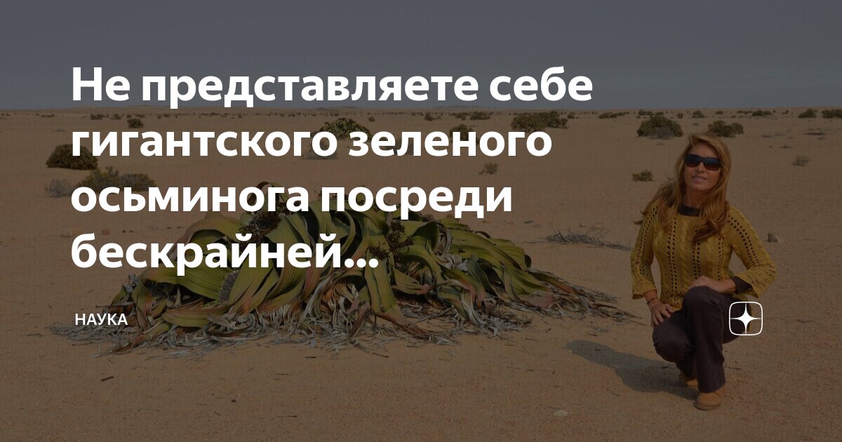 Дерево в пустыне. Пустынна и печальна. Пустыня намиб долина смерти. Безжизненная пустыня. Пустынна и печальна.